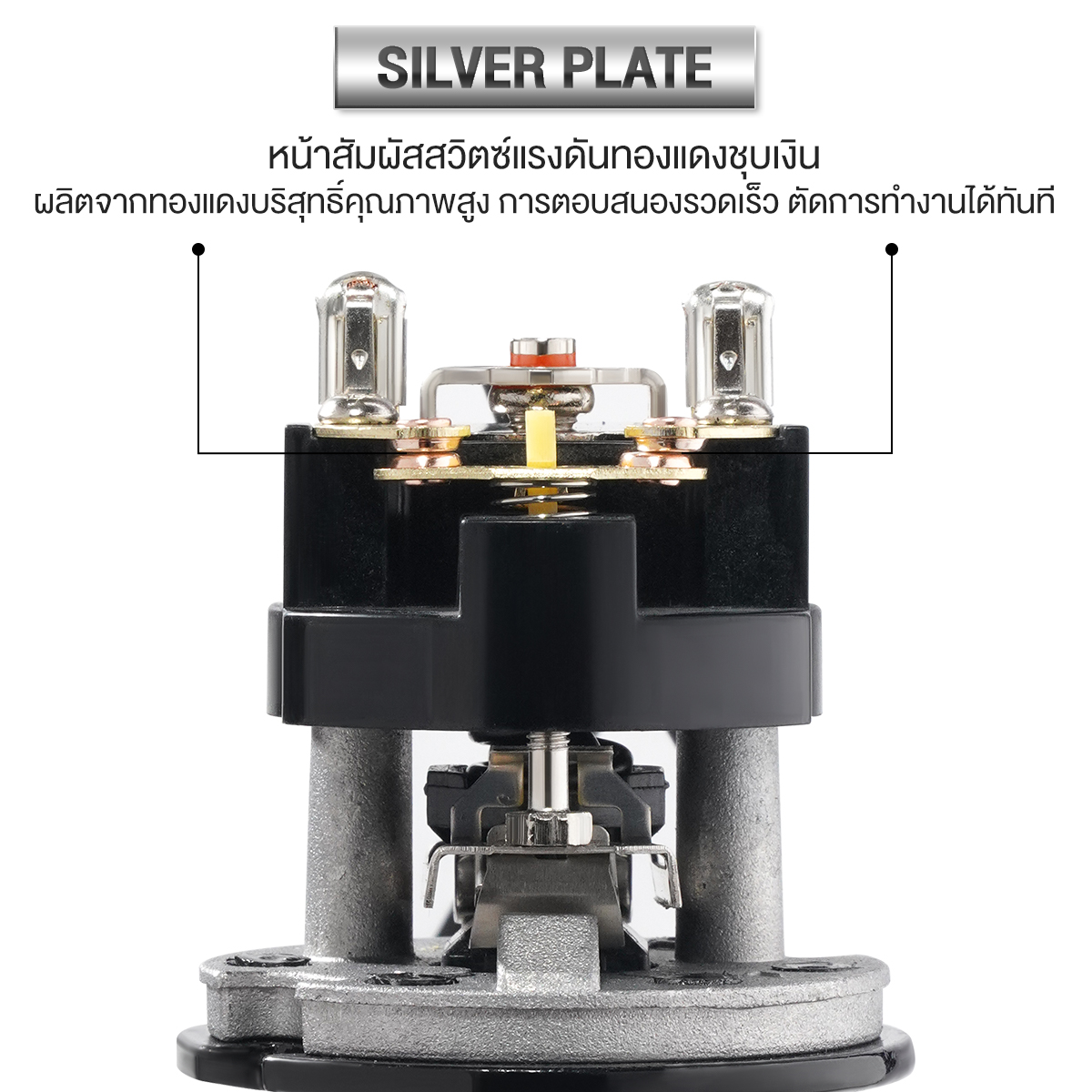อะไหล่สวิตช์แรงดันปั๊มน้ำ DELTON  เกลียวนอก 1/4 นิ้ว สำหรับรุ่น DTPS-160_2